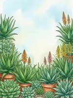 Watercolor succulent garden frame with aloe plants and flowering spikes in terracotta pots creating decorative border on textured paper background.