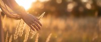Woman hand gently touching golden wheat ears in warm sunlight during harvest season creating peaceful agricultural moment with soft bokeh background.