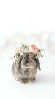 Adorable brown bunny rabbit wearing pink rose flower crown on white background with soft bokeh lights for Easter spring celebration decor.