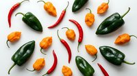 Colorful hot chili peppers pattern on white background. Fresh spicy vegetables including red cayenne, orange habanero and green poblano peppers isolated.