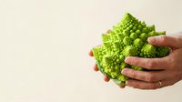 Close-up of hands holding fresh green romanesco broccoli with textured florets against neutral background. Suitable for healthy eating, organic produce, and nutrition content.