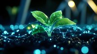 Young green plant sprout growing from soil with glowing blue digital network connections, symbolizing agricultural technology and sustainable growth in farming.