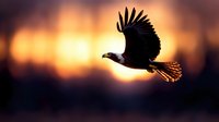 Majestic eagle soaring through golden sunset sky with spread wings, silhouetted against warm orange and purple clouds in dramatic evening light.