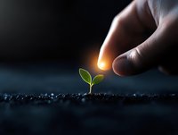 Hand gently touching young green seedling growing from soil at night, illuminated by warm light, symbolizing growth, nurturing and environmental care.