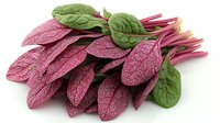 Fresh red amaranth leaves with water droplets and bright green spinach leaves bundled together on white background, isolated organic produce for healthy eating.