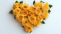 Yellow roses arranged in heart shape with green leaves on white background, romantic floral composition for wedding, anniversary or Valentine's day celebration.