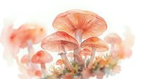 Watercolor mushrooms in soft coral and peach tones, delicate botanical art with gentle washes on a light background for prints and decor.