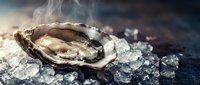 Fresh oyster on crushed ice with steam rising, dark moody background, gourmet seafood concept for restaurant menus and culinary projects.