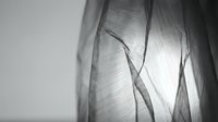 Monochrome close-up of delicate feather texture showing intricate barbs and natural patterns in soft grayscale tones for artistic design projects.
