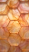 Translucent amber hexagonal cells with warm golden and peachy tones create an organic geometric pattern. Soft lighting highlights the dimensional structure, evoking honeycomb or cellular forms for design and background use.