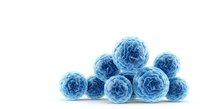 Cluster of blue spherical virus particles or microscopic cells isolated on white background, suitable for medical, scientific, educational, and healthcare design projects.