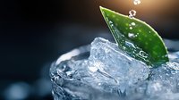 Fresh green leaf on melting ice cubes with water drops against dark background, macro shot. Natural freshness concept for beverage and cocktail advertising.