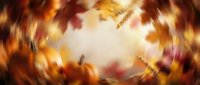 Autumn leaves swirling in circular motion with warm golden and orange colors creating dynamic seasonal background with copy space in center.