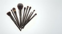 Professional makeup brush set with black handles arranged in fan formation on white background for beauty and cosmetics applications.