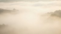 Soft morning mist rolling over peaceful countryside landscape with gentle hills and trees creating dreamy atmospheric scene for meditation and wellness content.