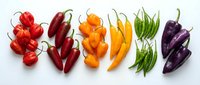 Colorful assortment of fresh hot chili peppers in red, orange, yellow, green, and purple, isolated on white background, arranged in a vibrant flat lay.