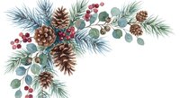 Watercolor winter botanical arrangement with pine branches, cones, red berries and eucalyptus leaves on white background for holiday decorations.