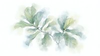 Watercolor illustration of green and sage leaves arranged in a circular cluster on white background, suitable for botanical designs, home decor, and creative projects.