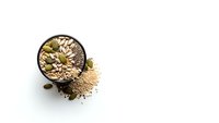 Overhead view of mixed nuts and seeds spilling from dark bowl on white background. Healthy snacking and nutrition concept for food packaging design.