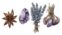 Watercolor botanical set with star anise, amethyst crystal, dried lavender bouquet and garlic bundle, hand drawn in rustic style on white background.