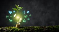 Green energy lightbulb with plant growing from top surrounded by glowing eco icons on moss surface against dark background for sustainability concepts.