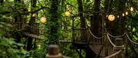 Enchanting treehouse with warm glowing lights nestled among lush green forest canopy, creating magical woodland retreat atmosphere for outdoor adventure concepts.