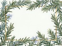 Rosemary herb sprigs and delicate lavender flowers frame a blank white space, creating an elegant botanical border for culinary, wellness, and design projects.