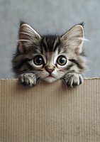 Adorable tabby kitten with big eyes peeking over cardboard edge, paws visible on top. Close-up portrait against blurred background shows playful expression.