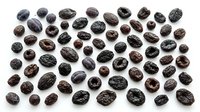 Dried raisins collection isolated on white background. Healthy organic snack food ingredient for baking and cooking recipes.