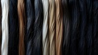 Assortment of natural hair extensions in various colors from platinum blonde to deep black, arranged in vertical strands for salon or beauty industry use.