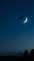 Bat flying across night sky with crescent moon, silhouetted against deep blue twilight atmosphere. Suitable for Halloween, nature, wildlife, and nocturnal themes.