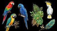 Colorful tropical parrots set with macaws, cockatoo, palm leaves, and peacock feather, isolated on transparent background, ready for stickers, t-shirt design, and print on demand.