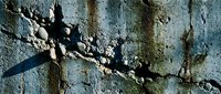 Weathered concrete surface with deep cracks, peeling paint, and moss growth casting dramatic shadows, suitable for grunge textures, industrial backgrounds, and decay effects.