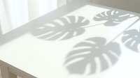 Monstera leaf shadows cast on white surface near window with natural sunlight, creating tropical plant silhouettes for interior design and home decor projects.