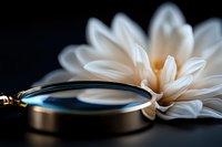 Elegant white chrysanthemum flower next to magnifying glass on dark background, creating artistic composition with soft focus and selective lighting.