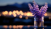 Purple lupine flowers in glass mason jar at sunset with blurred bokeh lights reflecting on water surface creating romantic atmosphere.