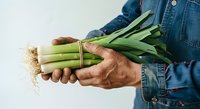 Farmer holding fresh green leeks with roots and soil, wearing denim shirt. Isolated on white background for agricultural, farming, and produce design use.
