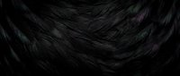 Dark iridescent feathers with purple and green shimmer creating layered texture pattern for luxury design backgrounds and nature-inspired graphics.