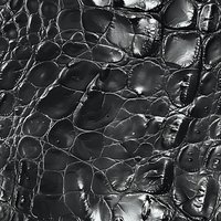 Black crocodile leather texture with glossy scales and natural pattern closeup. Luxury exotic skin surface showing detailed reptilian structure and reflective finish.
