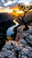 Gnarled tree silhouetted against golden sunset over winding river valley with dramatic rocky cliffs and mountains, ideal for nature and landscape projects.