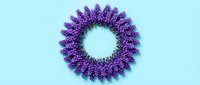 Purple lavender flower wreath arranged in perfect circle on light blue background. Natural botanical decoration for spa, aromatherapy and wellness designs.
