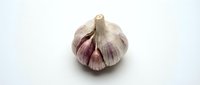 Whole garlic bulb with papery skin and purple-tinted cloves isolated on white background for culinary and cooking content.