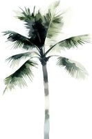 Watercolor palm tree silhouette in green and gray tones on white background, minimalist botanical art style for modern home decor and stationery design.