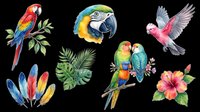 Colorful parrot collection with macaws, cockatoos, and tropical foliage isolated on transparent background. Ready for t-shirt designs, clipart, stickers, sublimation, and print-on-demand products.