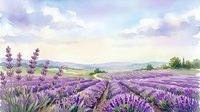Watercolor lavender field landscape with purple blooming rows, soft clouds, and rolling hills in a serene countryside summer scene.