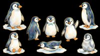 Penguin chicks isolated on transparent background, ready for clipart, t-shirt design, stickers, sublimation and print-on-demand products.