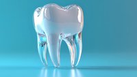 Transparent glass molar tooth model on turquoise background showing dental anatomy structure with roots and crown for dentistry and oral health concepts.
