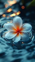 White plumeria flower with water drops floating on rippled water surface against dark blue background with golden bokeh lights creating magical atmosphere.