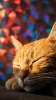 Orange tabby cat sleeping peacefully with colorful bokeh lights in background, suitable for pet, relaxation, and lifestyle content.
