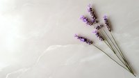 Fresh lavender sprigs with delicate purple blooms lying on white textured surface, creating minimalist botanical composition for wellness and spa designs.